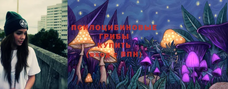 Галлюциногенные грибы Psilocybine cubensis  где найти наркотики  hydra рабочий сайт  Снежногорск 